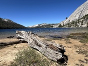 Tenaya Lake in Yosemite National Park