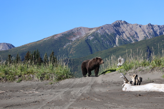 Lake Clark National Park