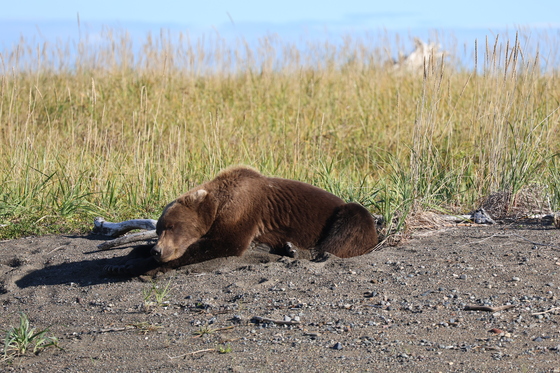 Lake Clark National Park