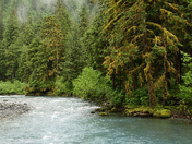 Chugach National Forest