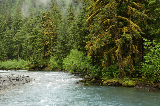 Chugach National Forest