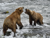 Katmai National Park