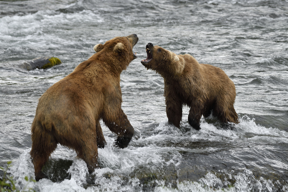 Katmai National Park
