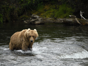 Katmai National Park