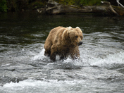 Katmai National Park