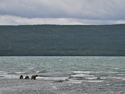 Katmai National Park