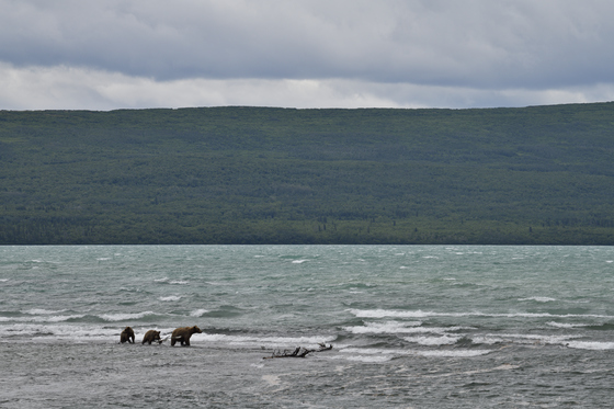 Katmai National Park