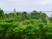 Boston Harbor Islands National Recreation Area