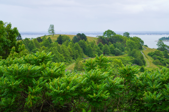 Boston Harbor Islands National Recreation Area
