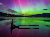 Anderson Cove, Uinta-Wasatch-Cache National Forest