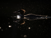 Grand Teton National Park, Oxbow Bend