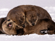 Grand Teton National Park