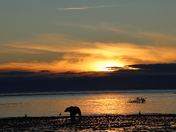 Lake Clark National Park