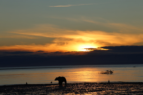 Lake Clark National Park