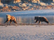 Lake Clark National Park