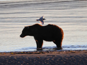 Lake Clark National Park