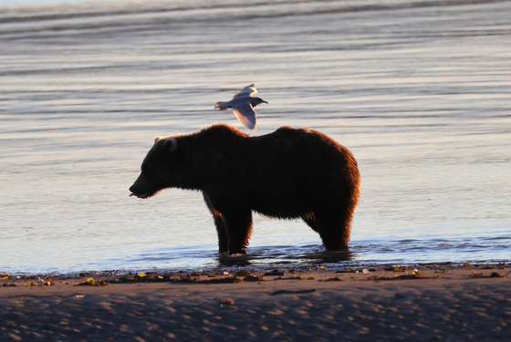 Lake Clark National Park