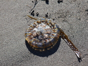 Lake Clark National Park