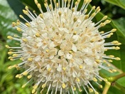 George Washington Memorial Parkway