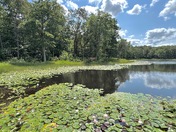 Patuxent Research National Wildlife Refuge