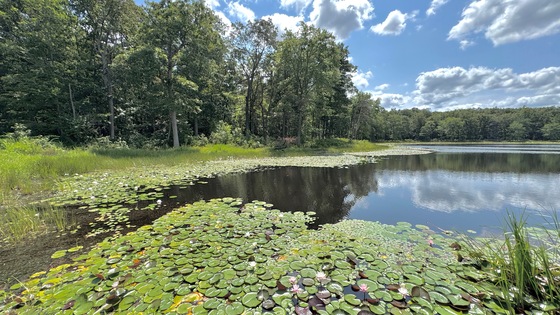 Patuxent Research National Wildlife Refuge