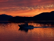 Tongass National Forest