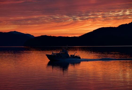 Tongass National Forest