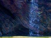 Tongass National Forest