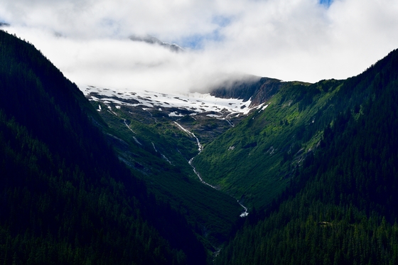 Tongass National Forest