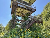 Patuxent Research National Wildlife Refuge