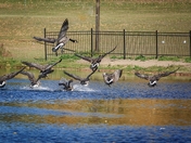Group Landing 