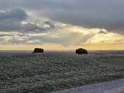 Badlands National Park