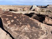 Petrified Forest National Park