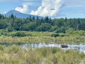 Katmai National Park & Preserve