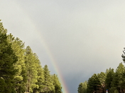 Coconino National Forest