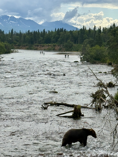 Katmai National Park & Preserve