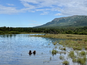 Katmai National Park & Preserve