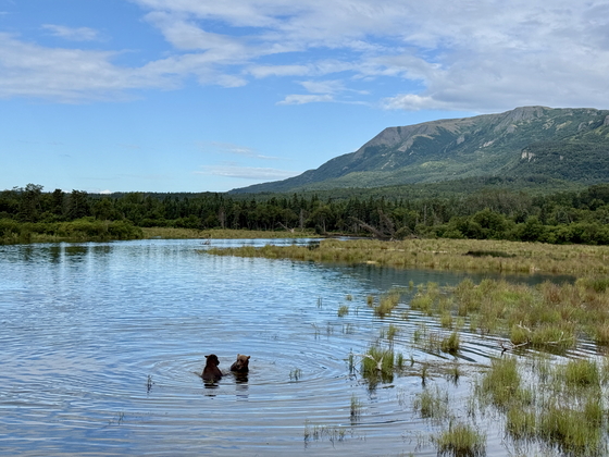 Katmai National Park & Preserve