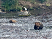 Katmai National Park & Preserve