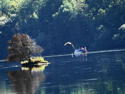 Fishing on the Magog Lake