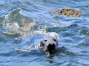 Acadia National Park