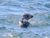 Acadia National Park