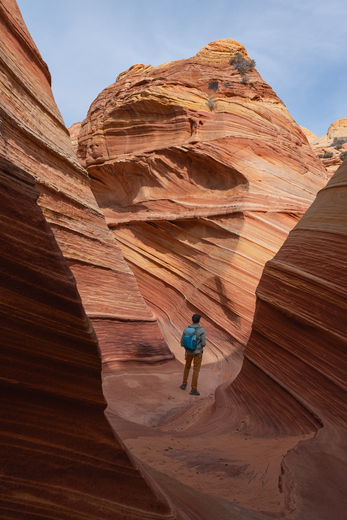 Paria Canyon-Vermilion Cliffs Wilderness