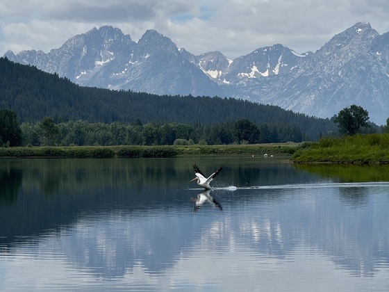 Grand Teton National Park