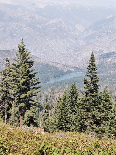 Kings Canyon National Park 