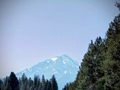 Shasta-Trinity National Forest 