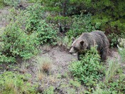 Glacier National Park