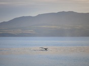 Channel Islands National Park
