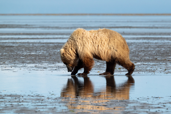 Katmai National Park
