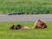 Katmai National Park and Preserve 